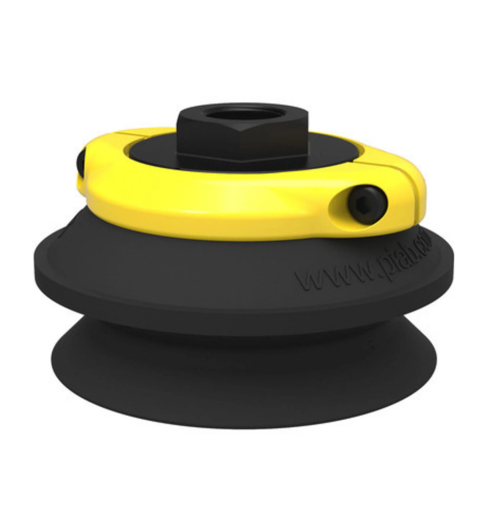 Suction Cup