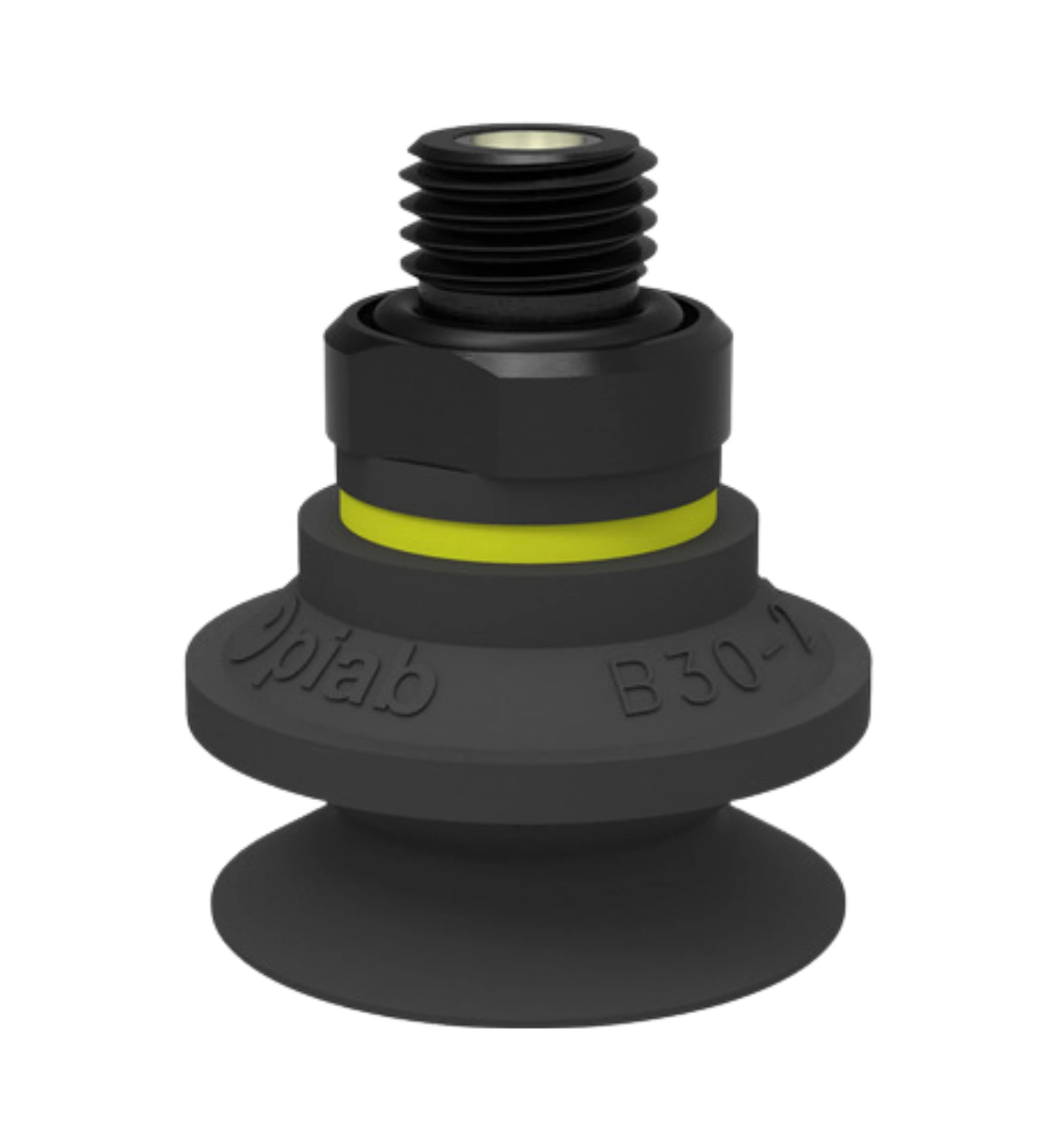 Suction Cup