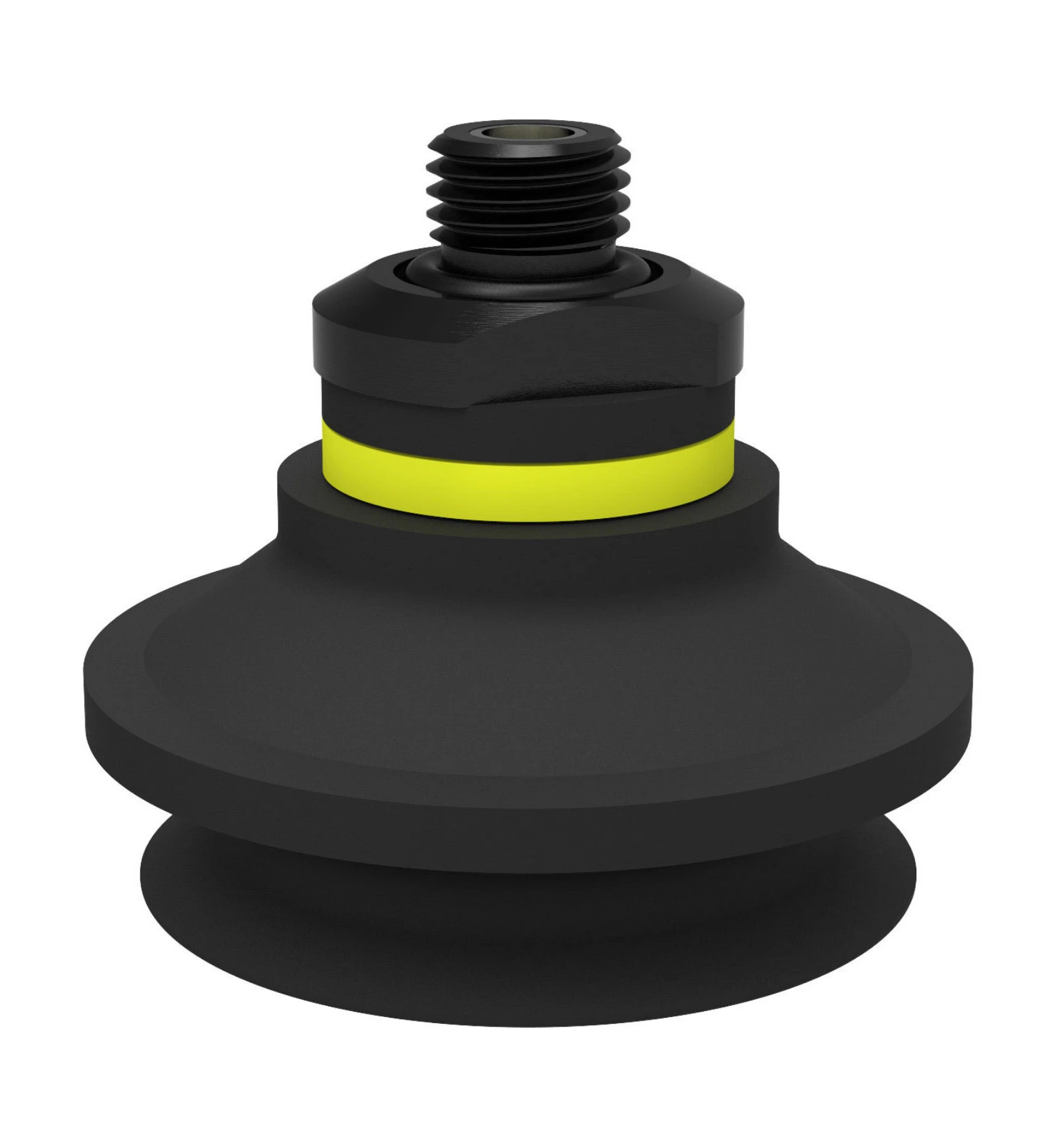 Suction Cup