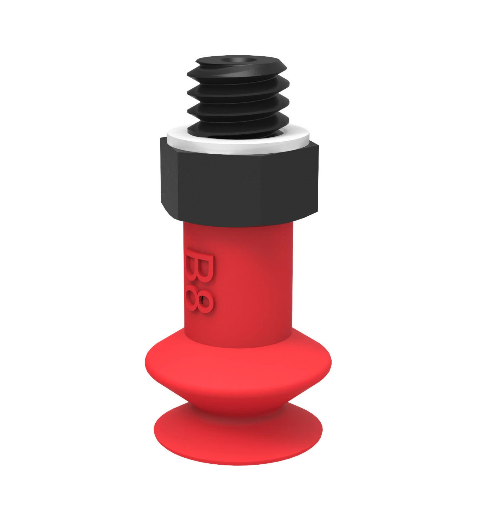 Suction Cup